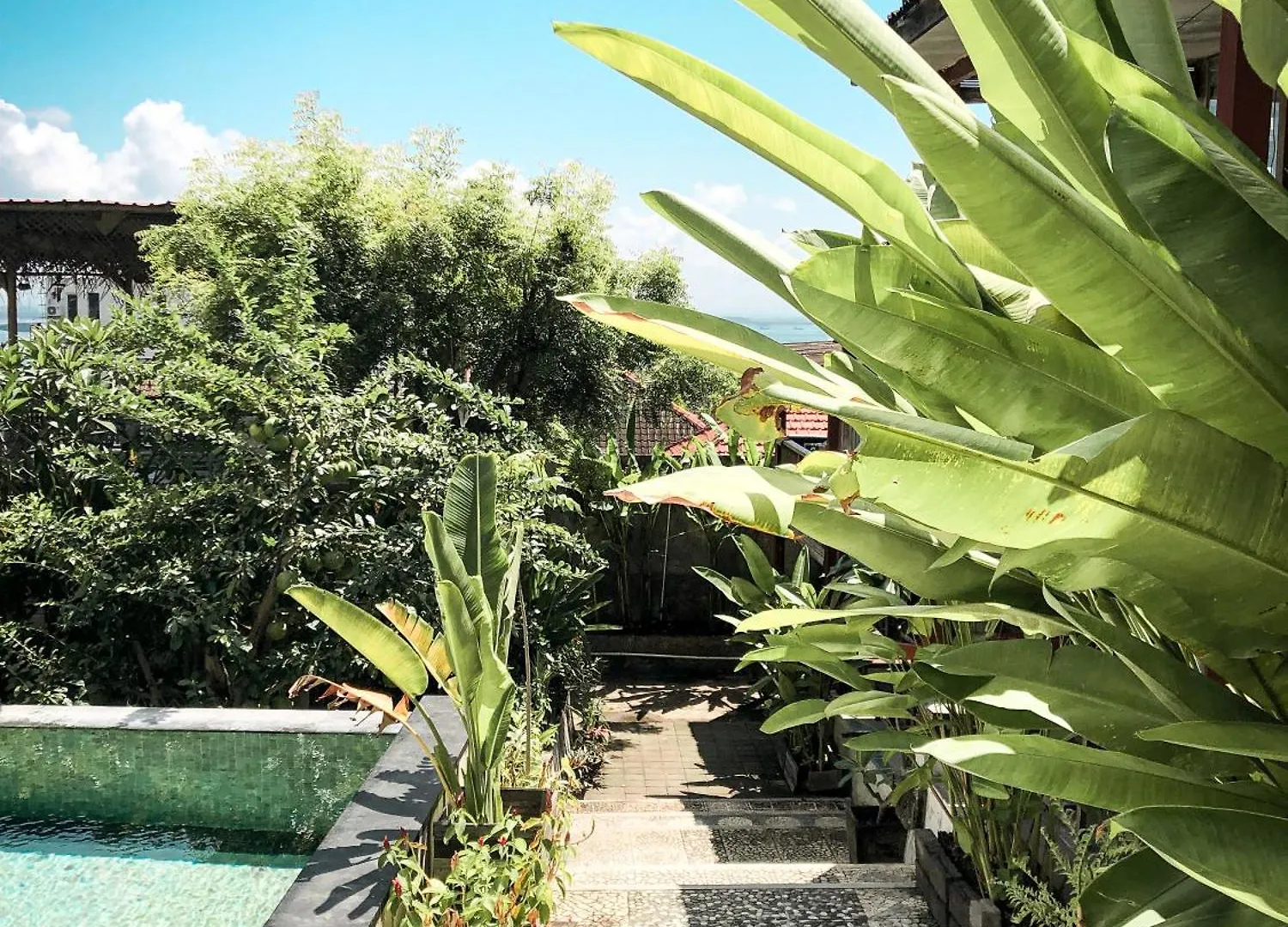 The Tree House Bed & Breakfast Nusa Dua